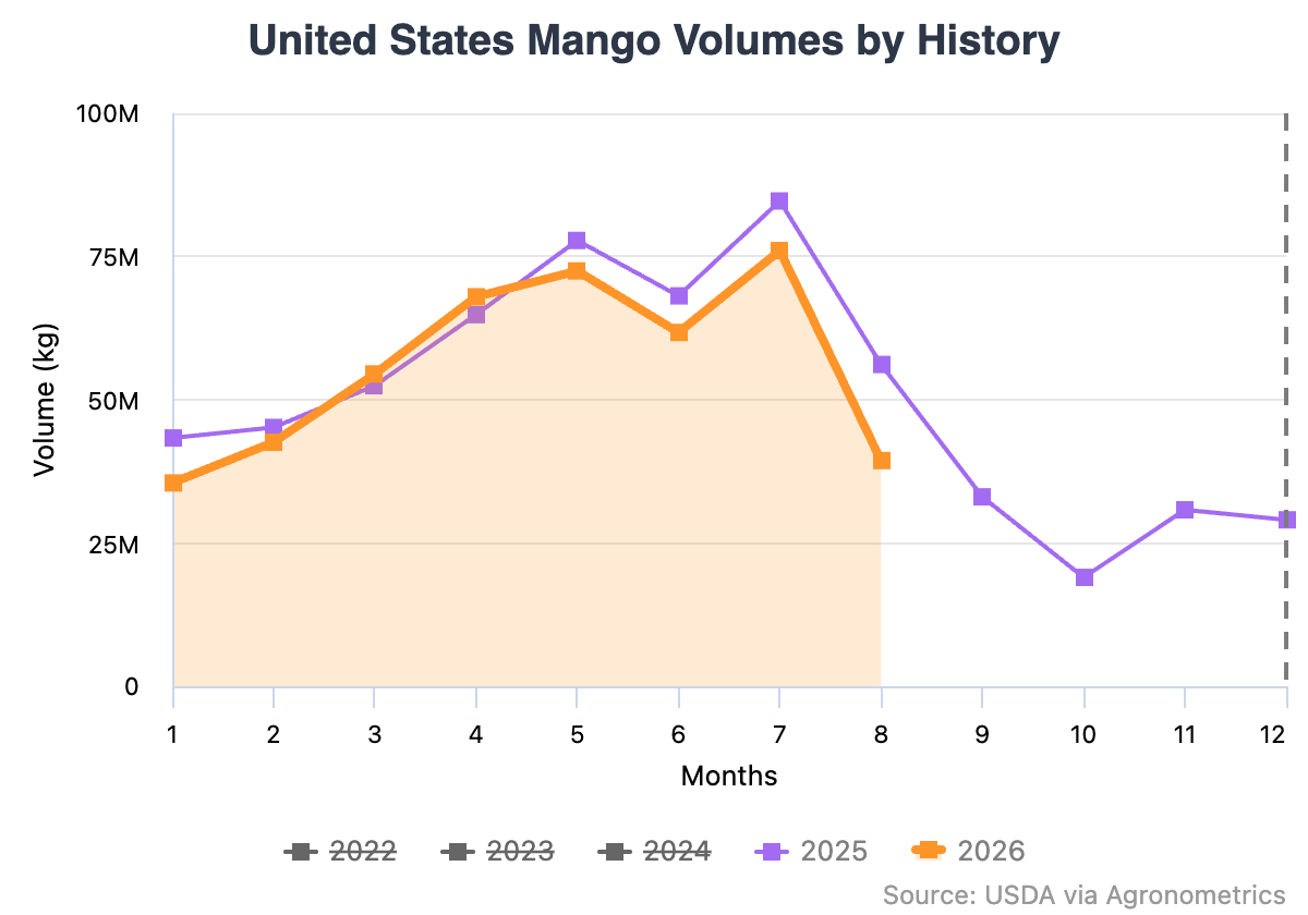 El Niño presiona los precios del mango en Estados Unidos 2 Preocupación por la oferta de mango por El Niño presiona los precios en Estados Unidos