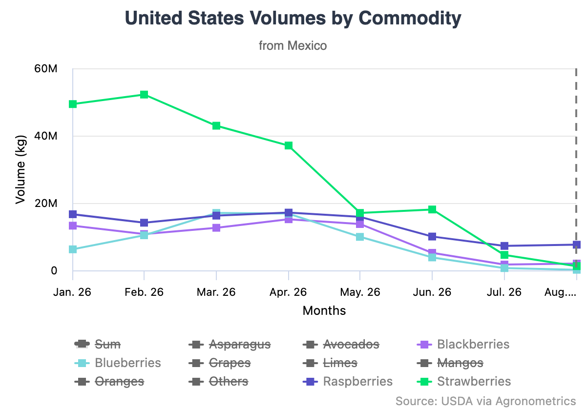 Caída en las exportaciones de berries de México, pero una categoría sigue creciendo 5 Caída en las exportaciones de berries de México, pero una categoría sigue creciendo