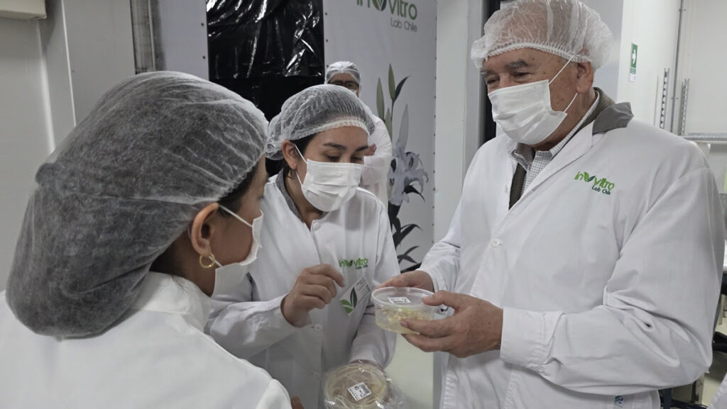 Grupo Hijuelas impulsa economía circular para reutilizar residuos plásticos de sus operaciones