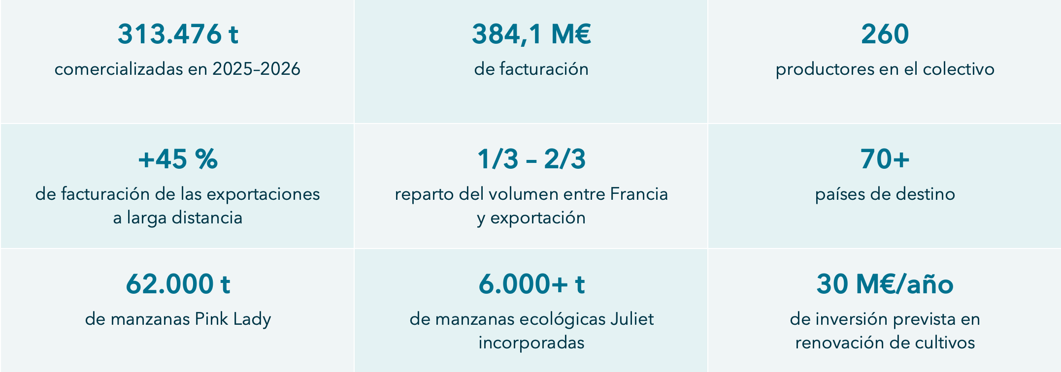 Blue Whale cierra una campaña récord en 2025-2026 y apuesta por el futuro