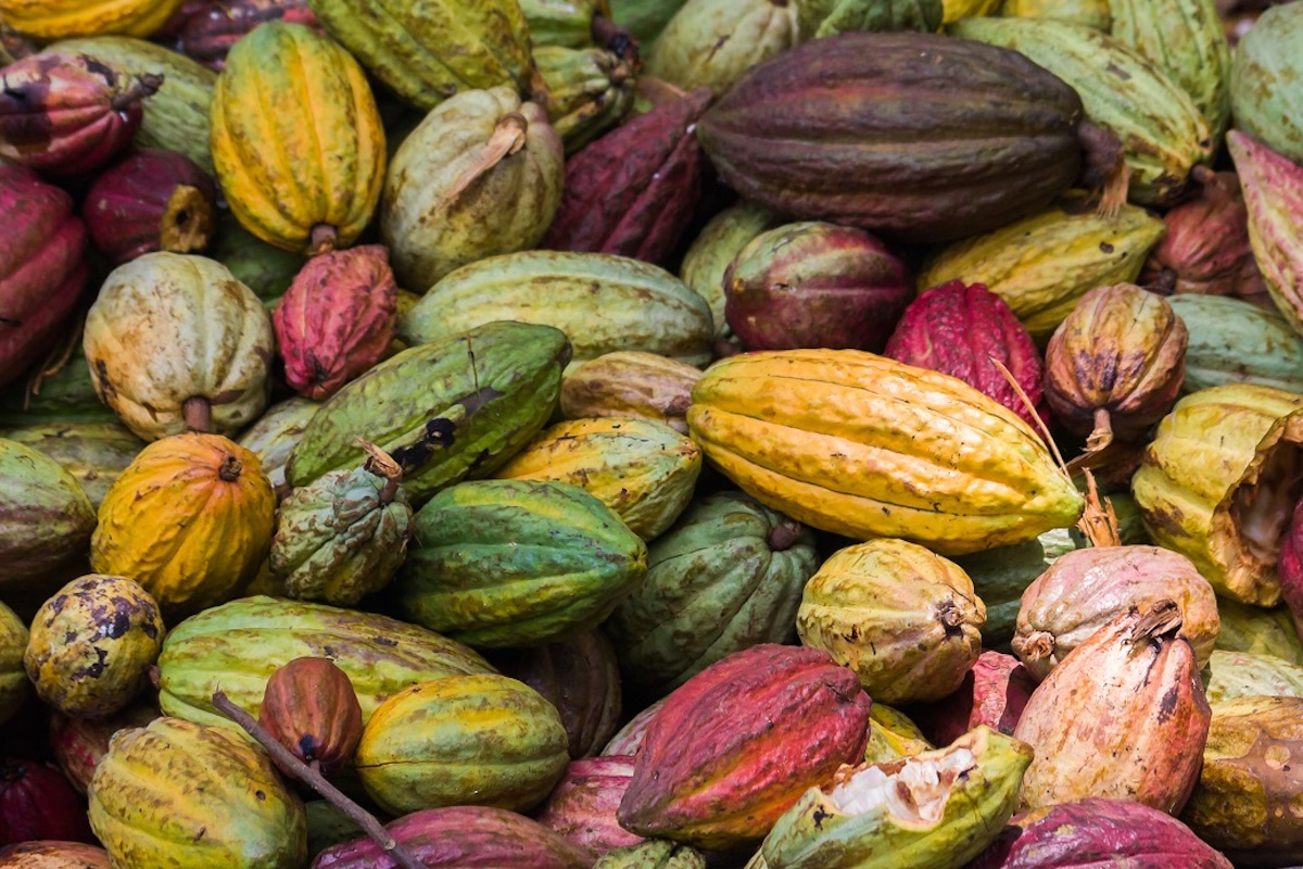 Agroexportaciones peruanas experimentan desaceleración, informa ADEX