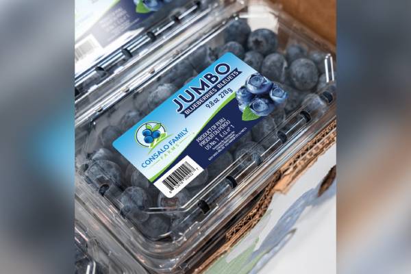 Un nuevo capítulo comienza: Consalo Family Farms amplía su presencia productiva global de arándanos a Perú 2 Un nuevo capítulo comienza: Consalo Family Farms amplía su presencia productiva global de arándanos a Perú