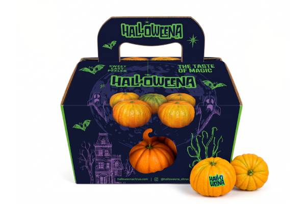 HALLOWEENA vuelve en su cuarta temporada con nuevos mercados, nuevos formatos y oportunidades de crecimiento 1 HALLOWEENA