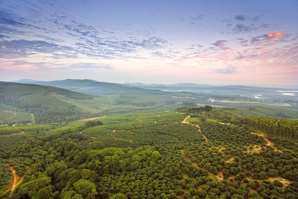 Operaciones de Westfalia Fruit ya utilizan un 58% de electricidad renovable 2 IMG 5929
