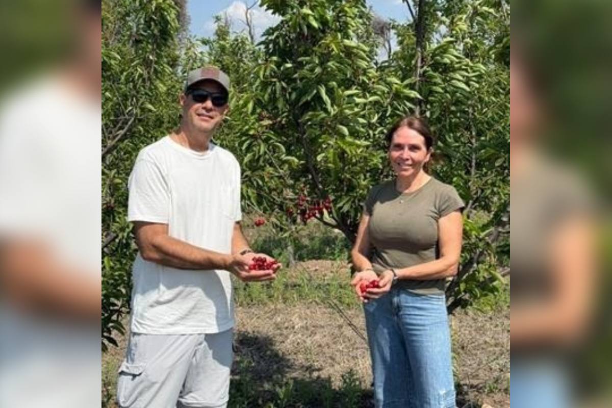 Proyecto de cerezas ultratempranas en Argentina comienza a mostrar resultados cada vez más concretos