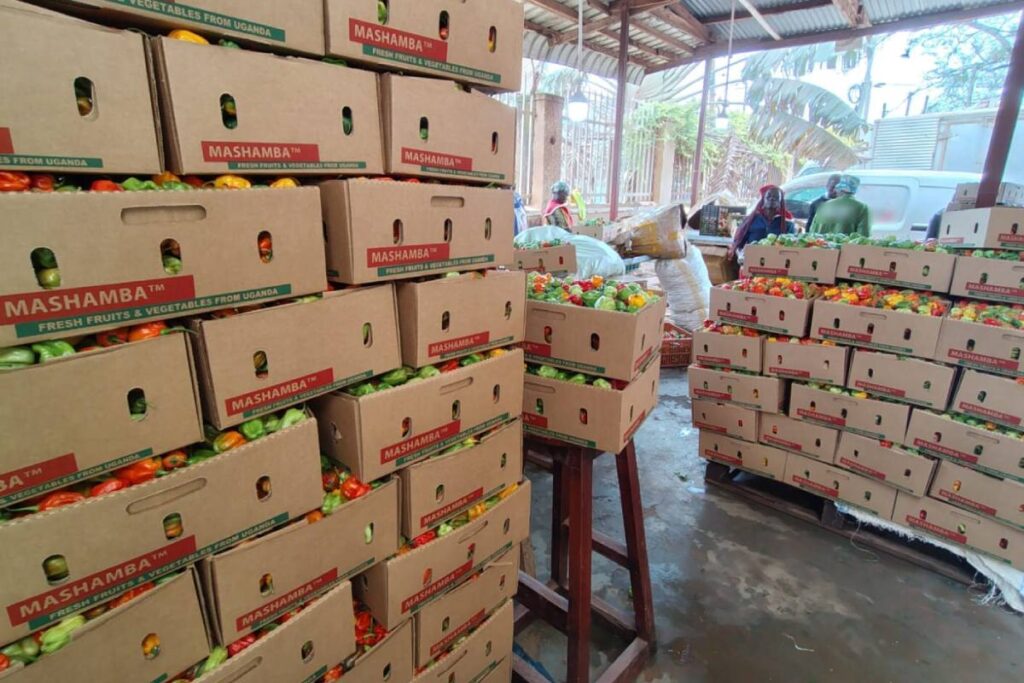 La segunda generación de exportadores de frutas y hortalizas de África está redibujando el mapa