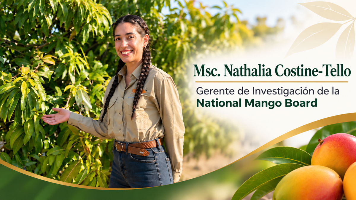 Nathalia Costine-Tello: "La investigación debe convertirse en soluciones prácticas para la industria del mango" 1 Nathalia Costine-Tello: "La investigación debe convertirse en soluciones prácticas para la industria del mango"