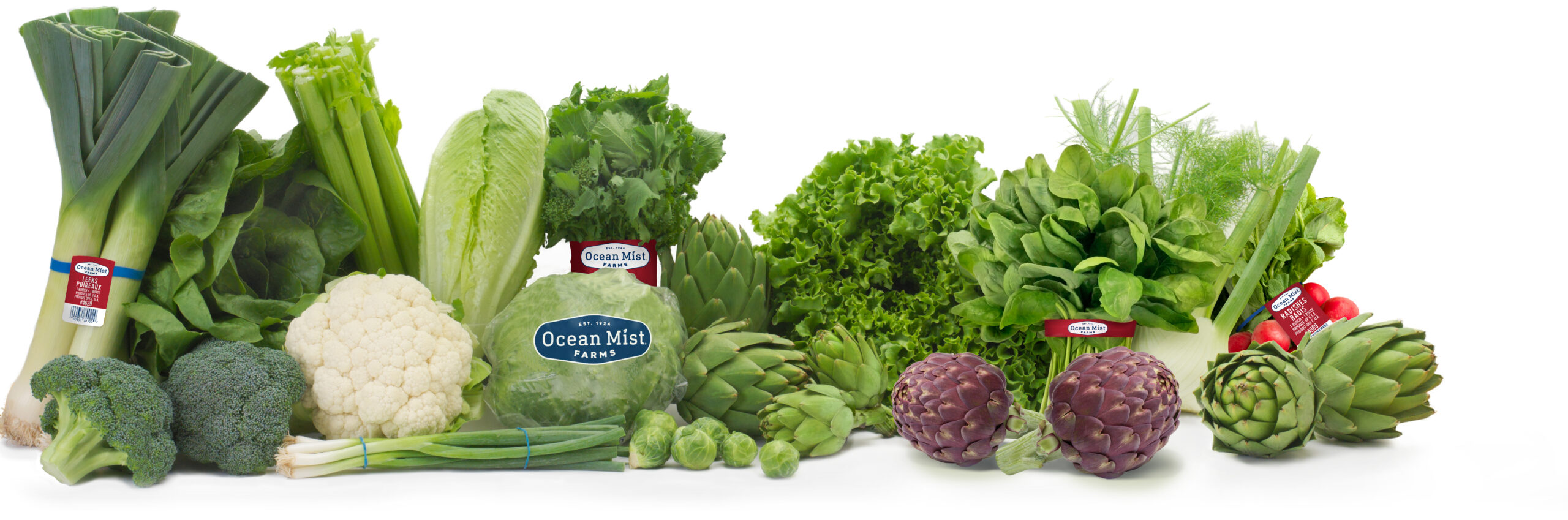 Ocean Mist Farms lleva 102 años de excelencia agrícola y sabores frescos a IFPA Fresh Summit 1 Producción de Ocean Mist Farms