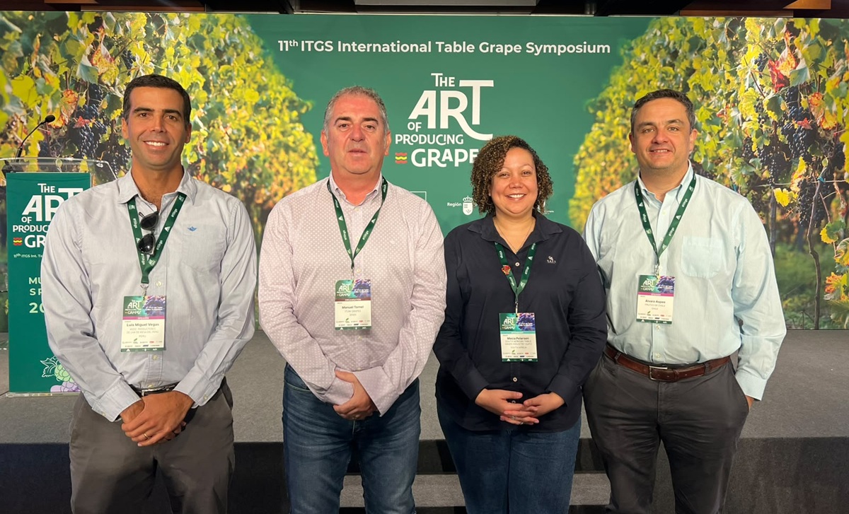 Global Grape Group lanza su primer Informe Global de Uva de Mesa