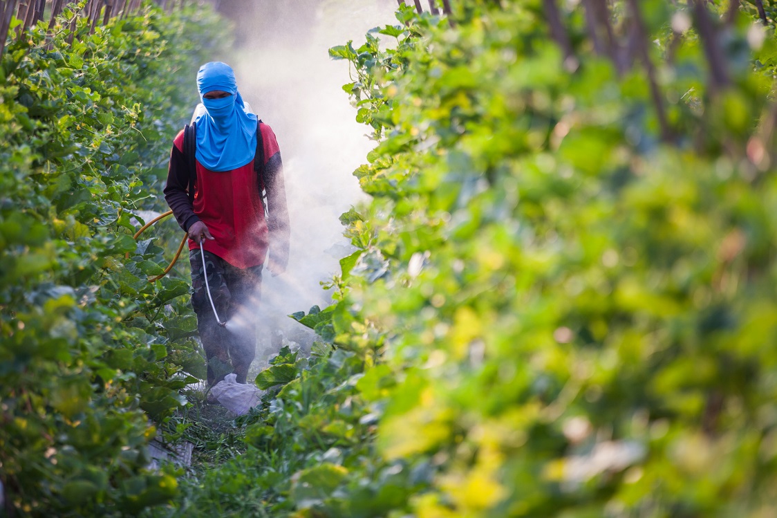 Informe revela residuos de pesticidas y brechas regulatorias en Australia