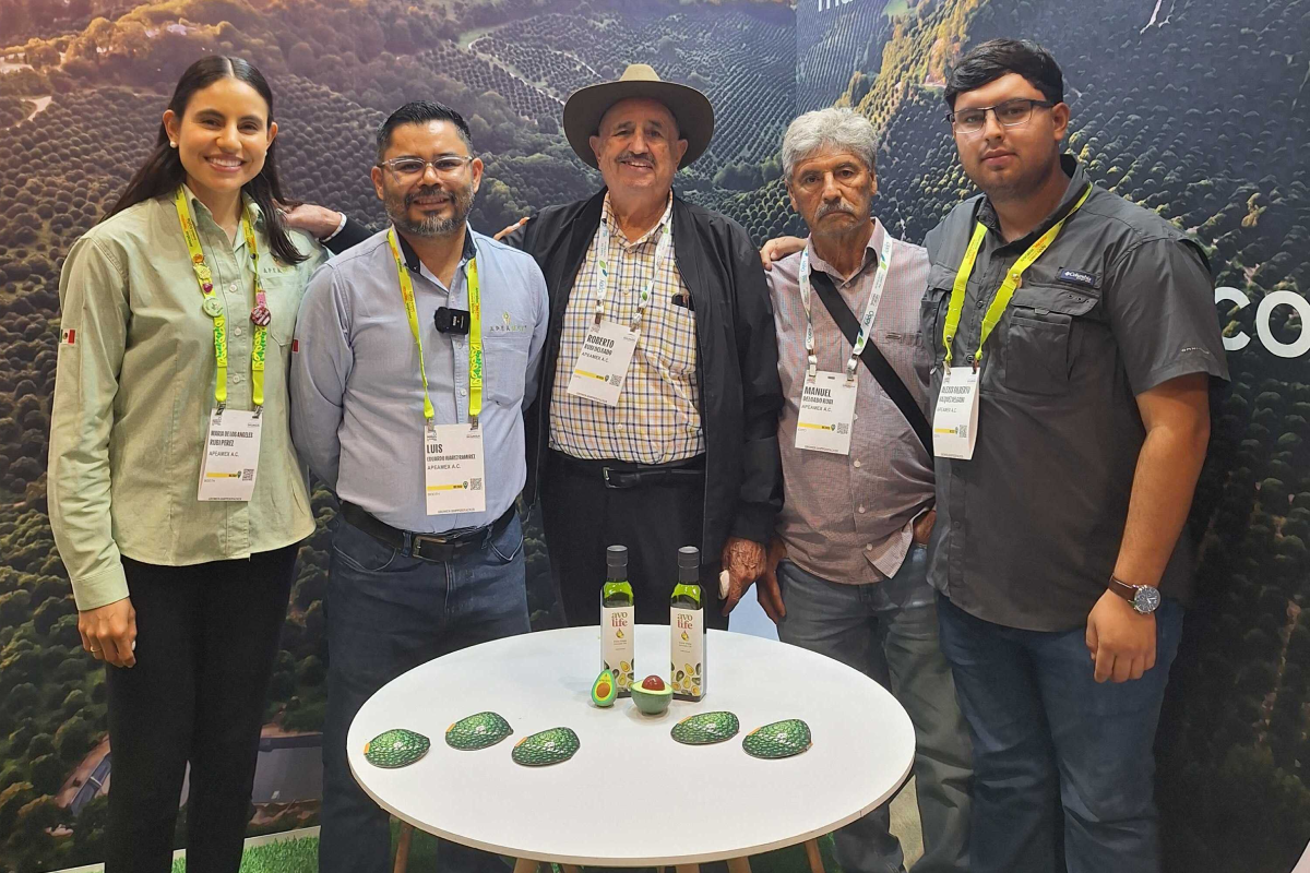 APEAMEX se prepara para exportar aguacate a Estados Unidos y busca ampliar su presencia internacional