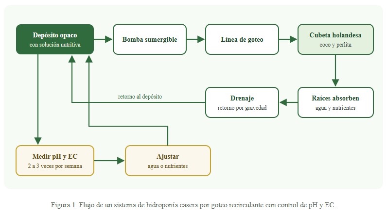 hidroponía casera