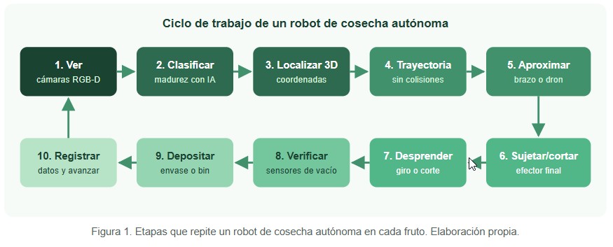 Cosecha autónoma