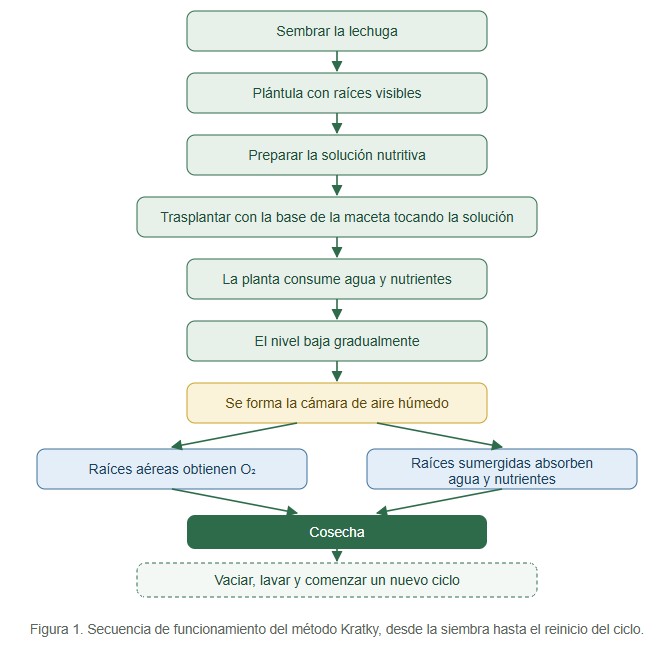 hidroponía