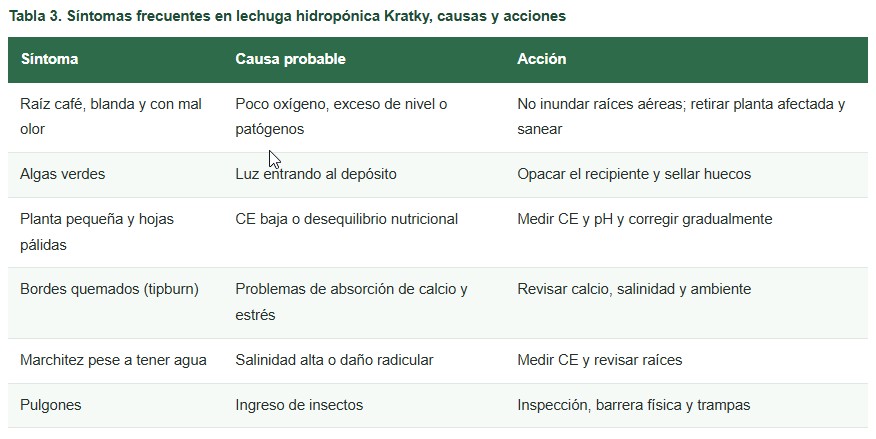 hidroponía