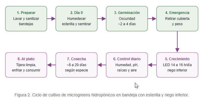 Microgreens