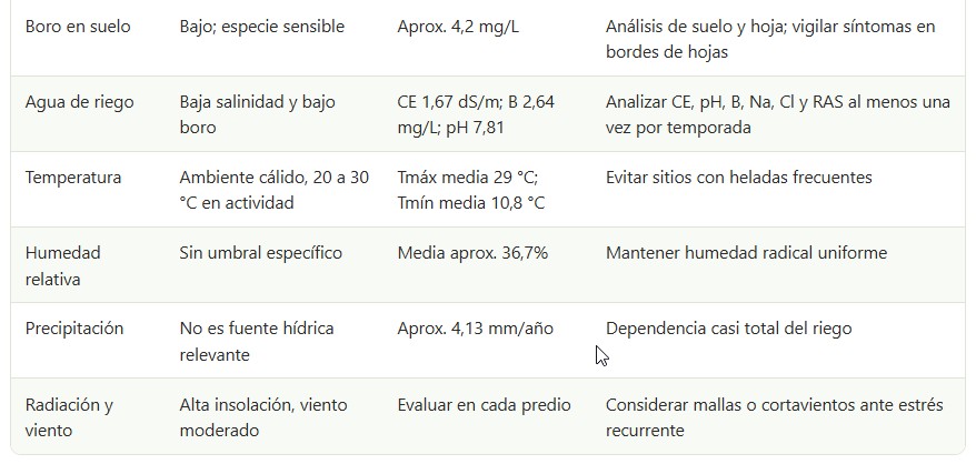 limón de Pica