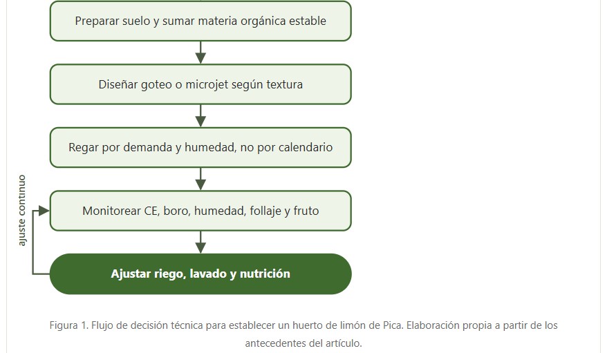 limón de Pica