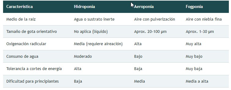 fogponia