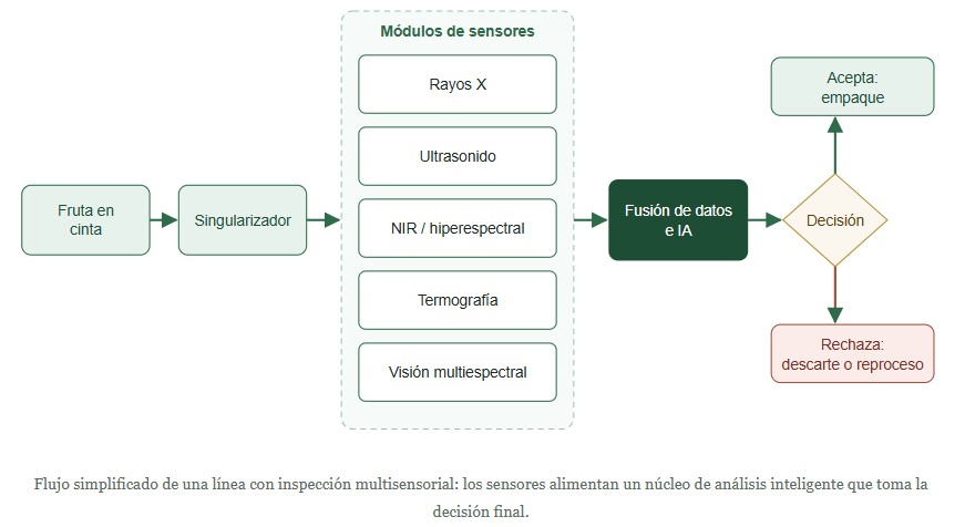 fruta bajo escáner