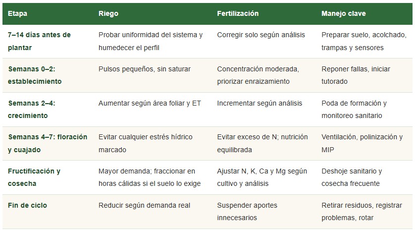 cucurbitáceas bajo túnel