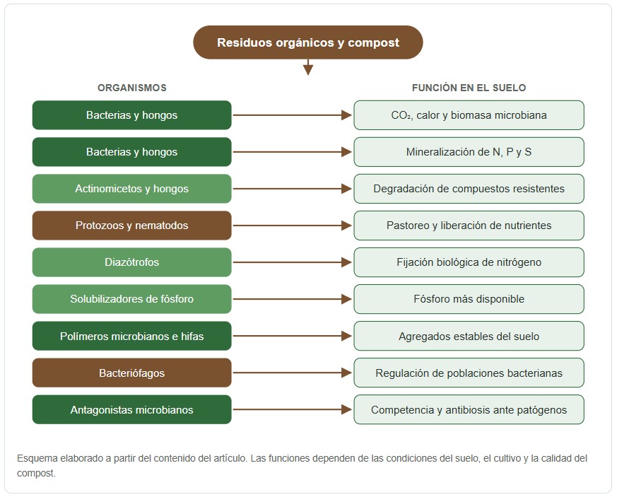 microorganismos del compost
