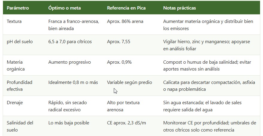 limón de Pica