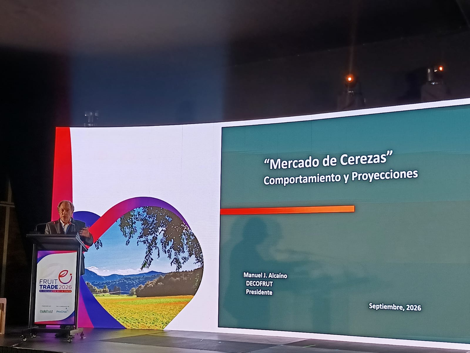 Las urgencias de la industria de las cerezas chilenas 1 Manuel José Alcaíno, presidente de Decofrut