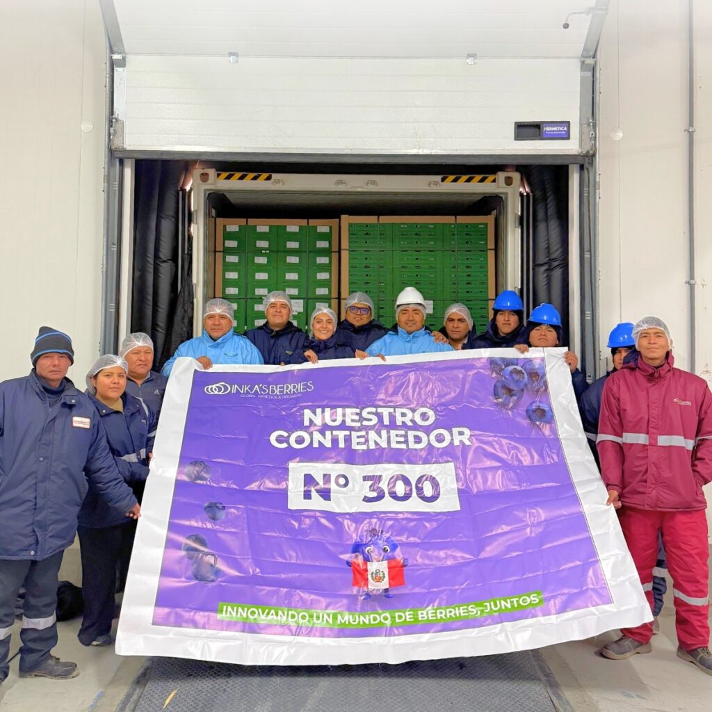 Inka’s Berries alcanza los 300 contenedores exportados en la campaña de arándanos 2026-2027