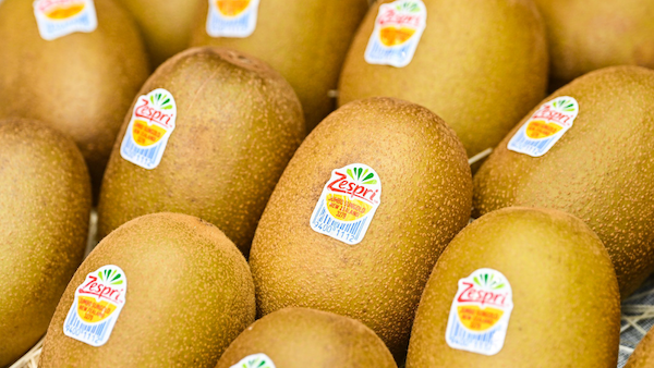 Zespri Kiwifruit2