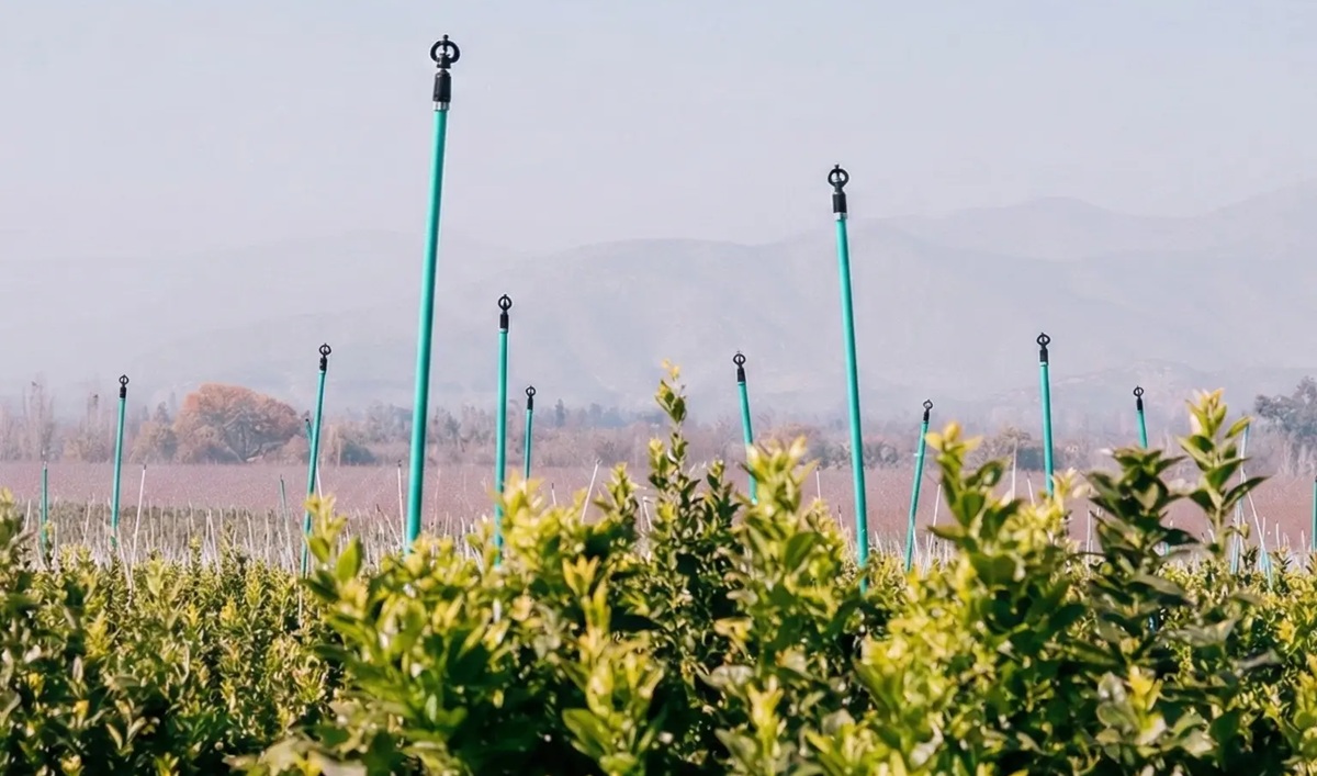 Control de heladas y enfriamiento evaporativo con baja precipitación de agua: nuevo enfoque para temporadas extremas