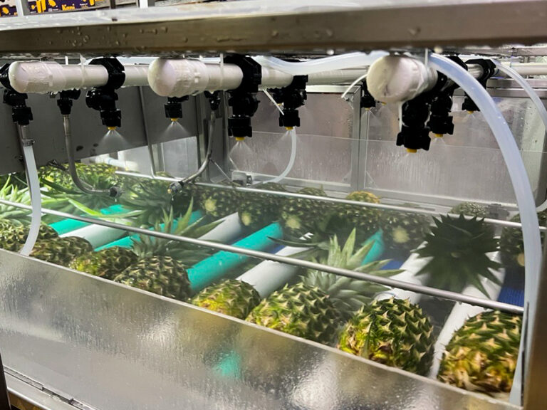 Innovadora cera fluida agiliza el embalaje y vida post cosecha de la piña 2 JBT