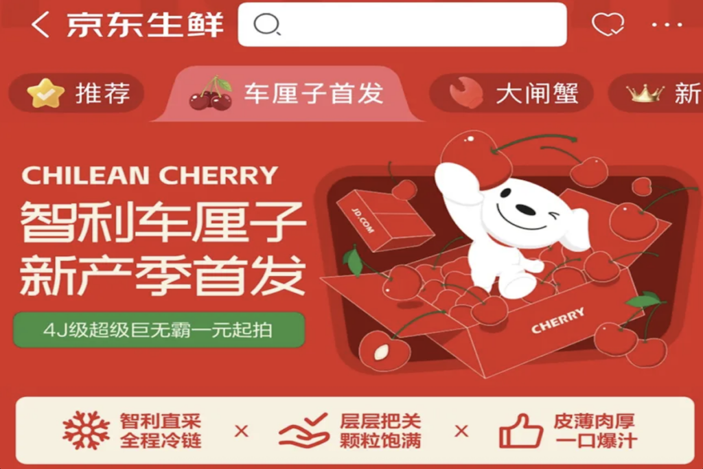 China: JD Fresh inicia preventa de cerezas chilenas de la variedad AG2