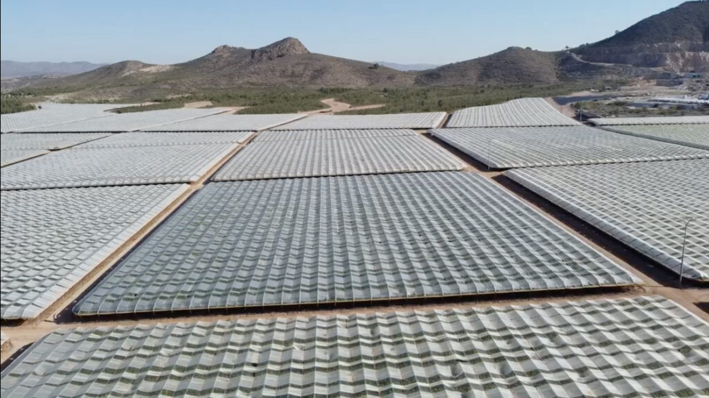 Solgrapes Multicampaña: Solplast refuerza en el Congreso Mundial de Uva de Mesa su apuesta por la protección, innovación y eficiencia del cultivo