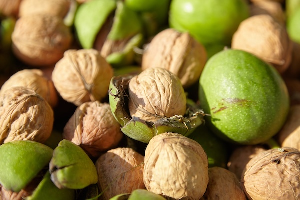 La cosecha de nueces de California se acerca a su recta final con buena calidad 4 nueces shutterstock2