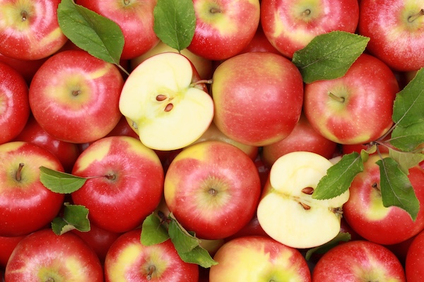 shutterstock 117519346