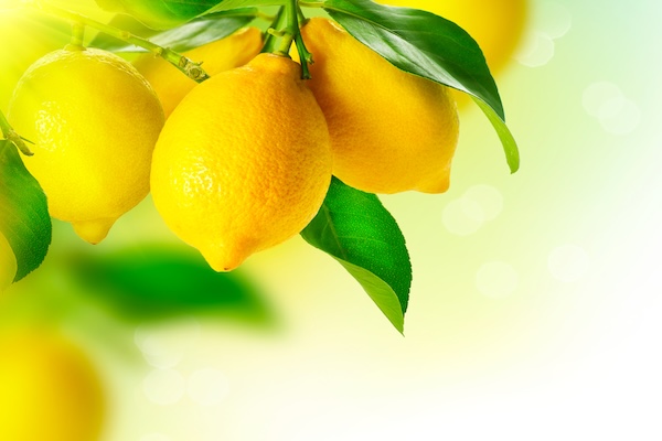 shutterstock 174457913