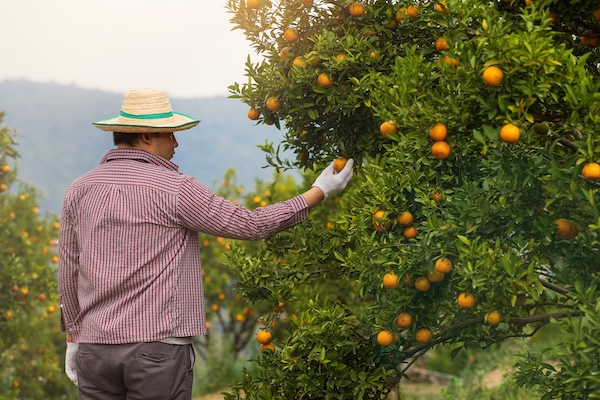 Enagro 2026: un llamado a recuperar el dinamismo del agro chileno 1 Enagro 2026
