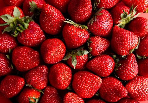 España: exportaciones de sandía y melón registran un crecimiento significativo 1 exportaciones