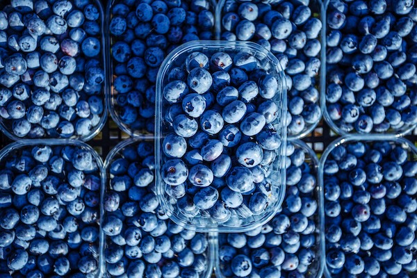 La nueva era de la genética del arándano: innovaciones y perspectivas de mercado para el lanzamiento de nuevas variedades - segunda parte 1 Nueva era