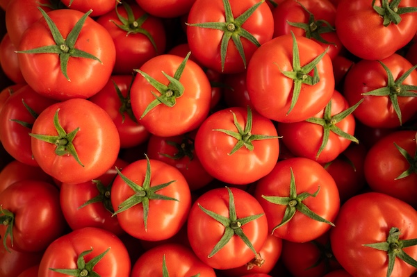 España: exportaciones de sandía y melón registran un crecimiento significativo 2 shutterstock 2376167681 2