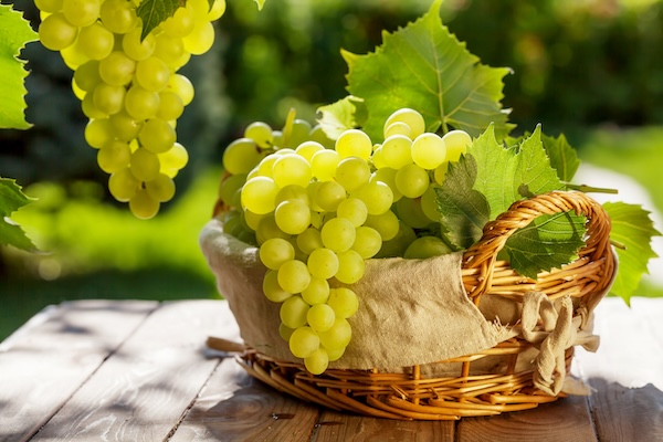 Agroexportaciones peruanas experimentan desaceleración, informa ADEX 1 Uvas.