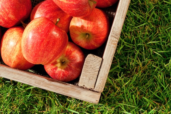 manzanas
