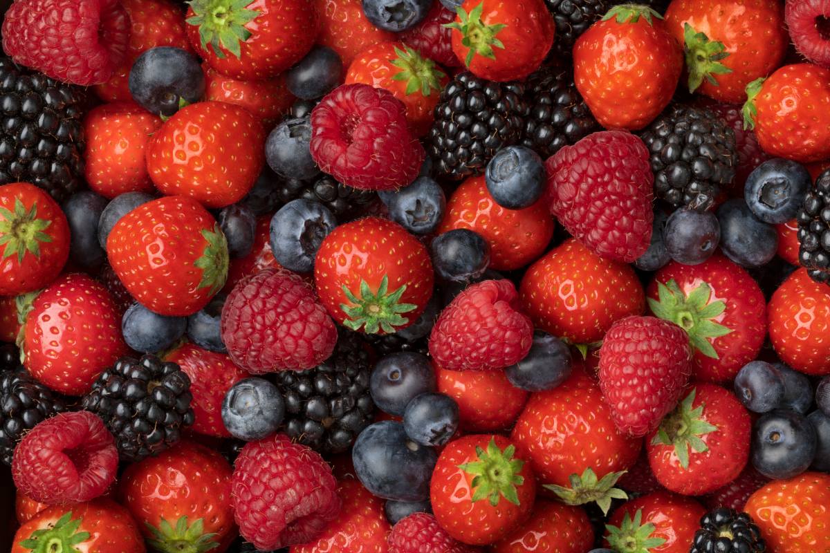 Wish Farms inicia una nueva etapa de liderazgo con el sabor y las variedades de alto rendimiento como protagonistas